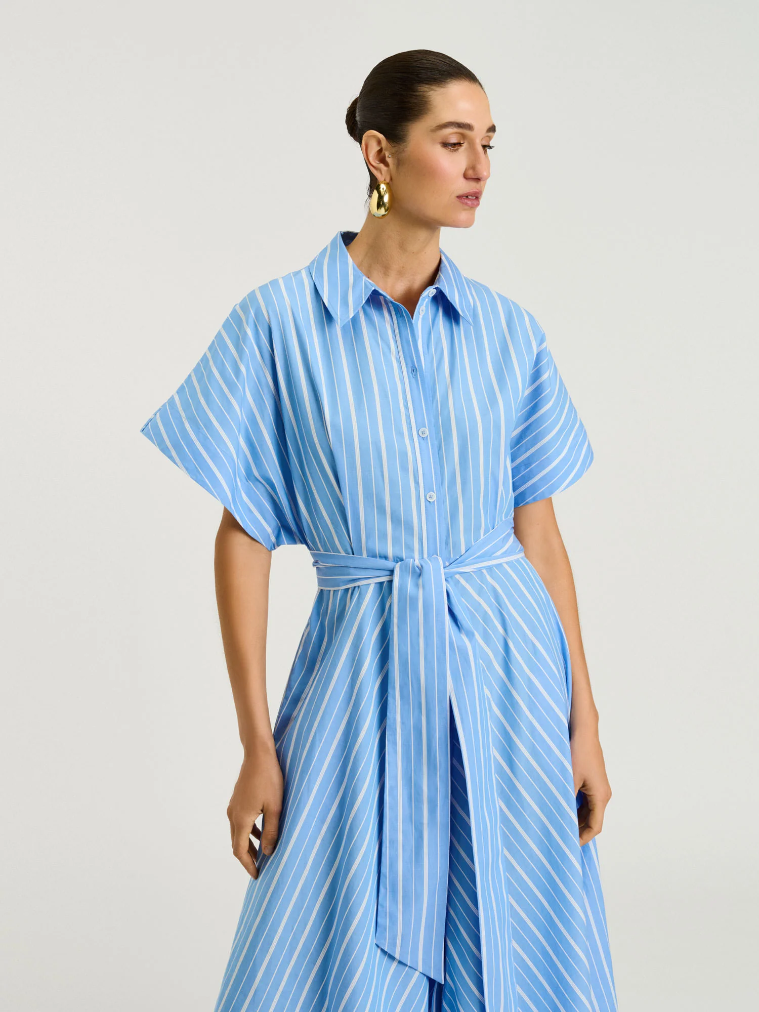 GOOD EARTH COTTON STRIPE SHIRTDRESS - Image 3