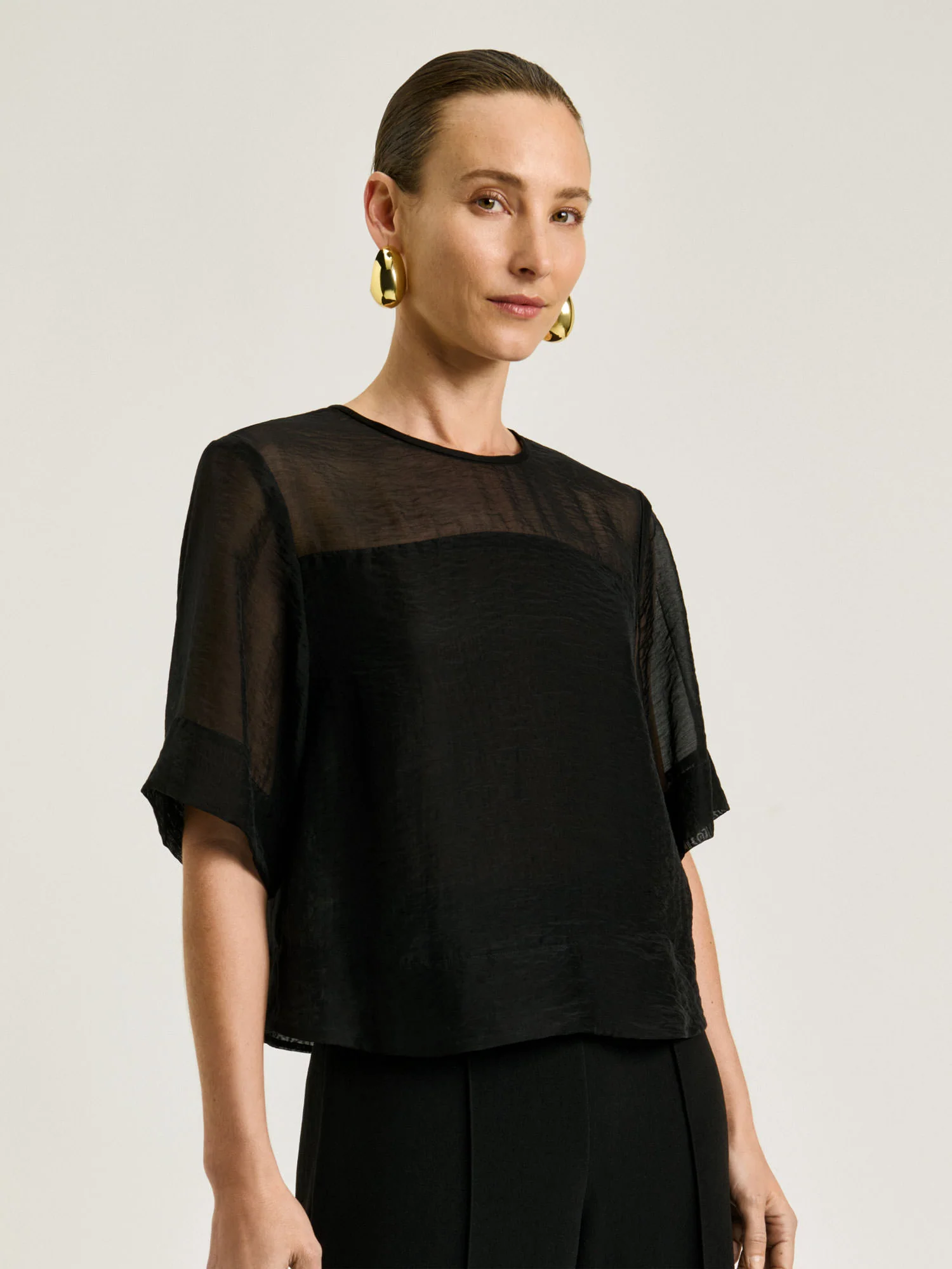 SHEER ORGANDY YOKE TOP